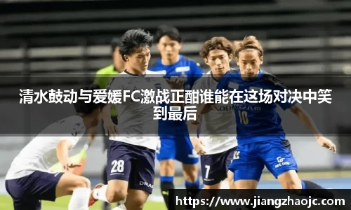 乐盈VI官网
